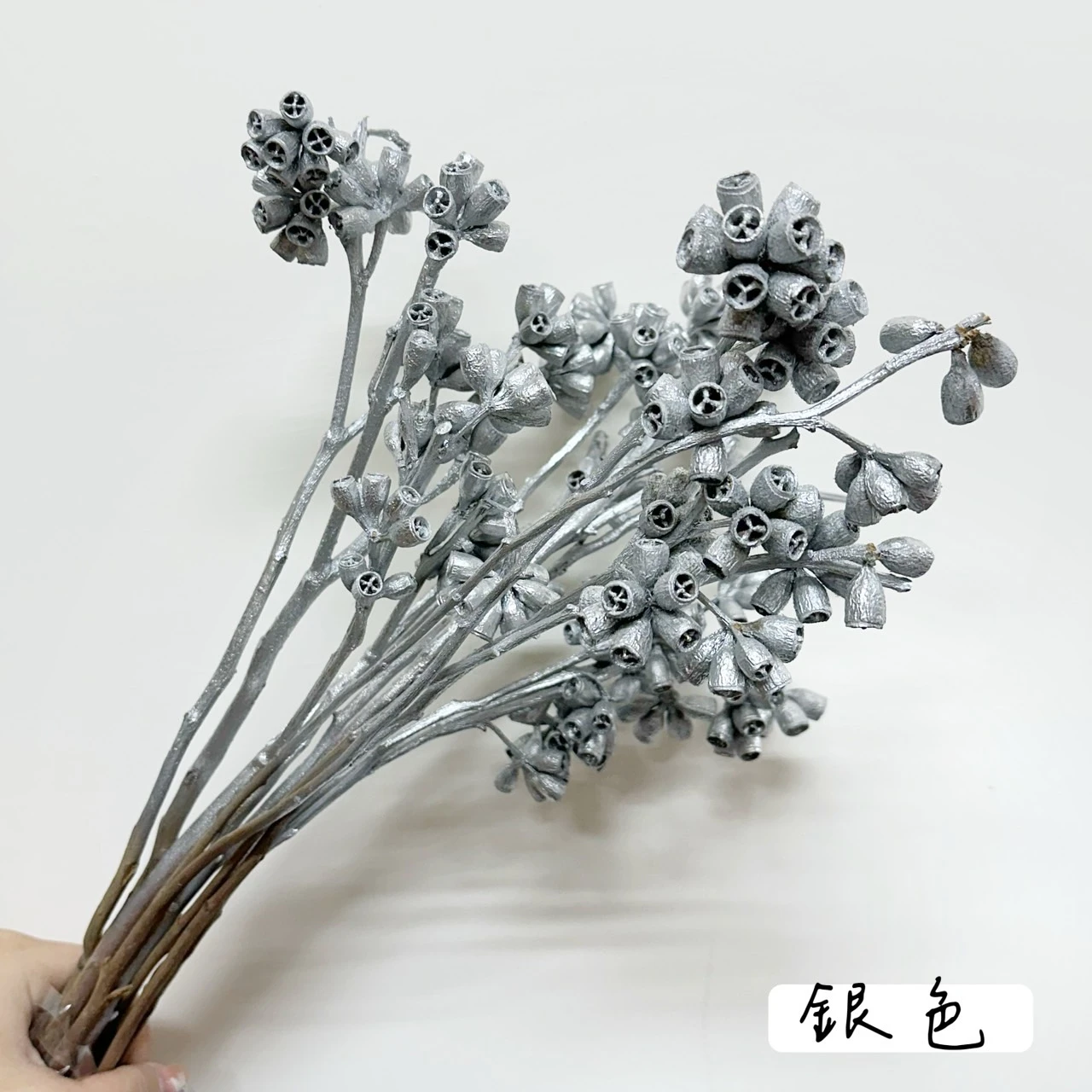 殭屍果