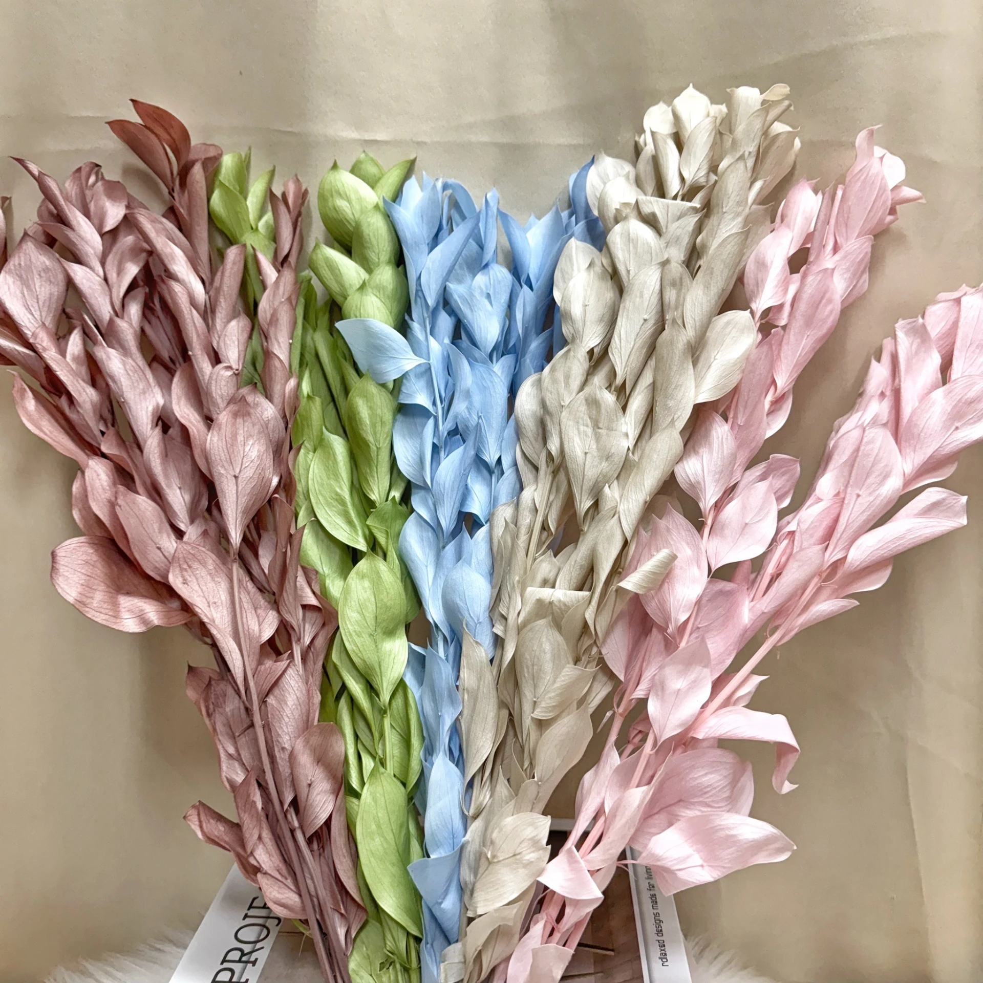 永生玉竹葉