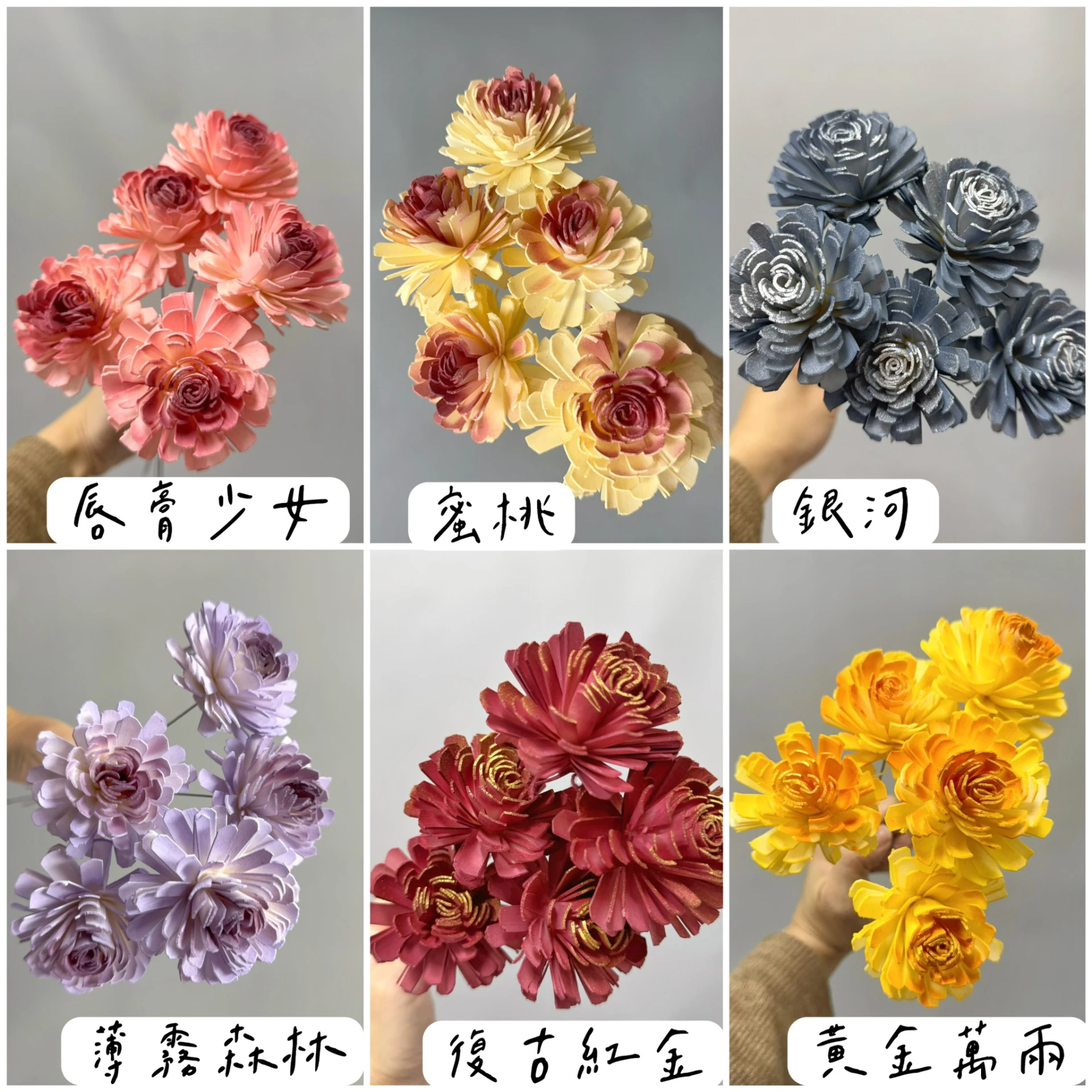 6公分泰國索拉-大薔薇
