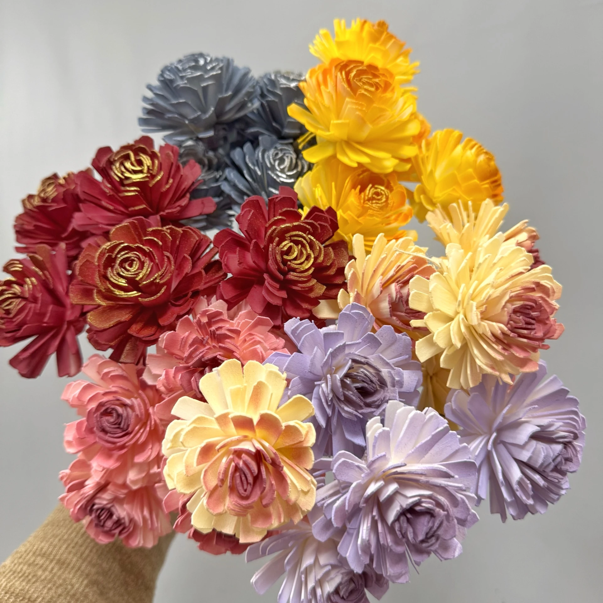 6公分泰國索拉-大薔薇