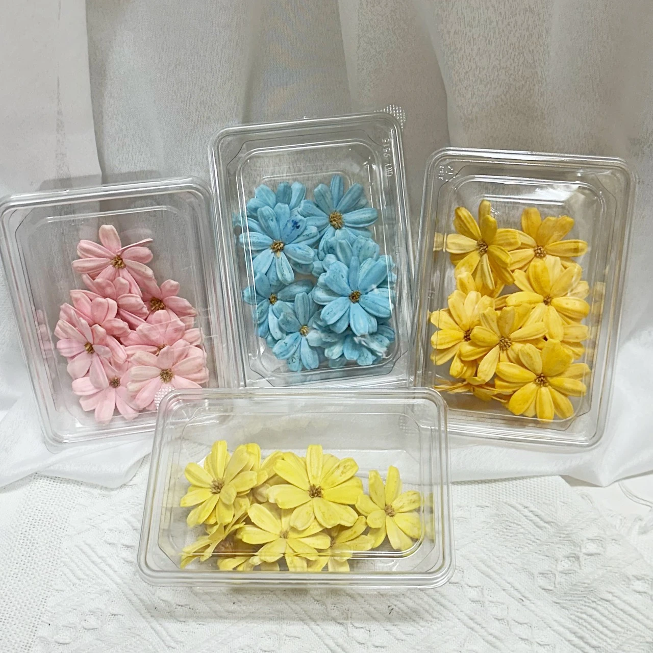 盒裝瓜子花頭(10入)