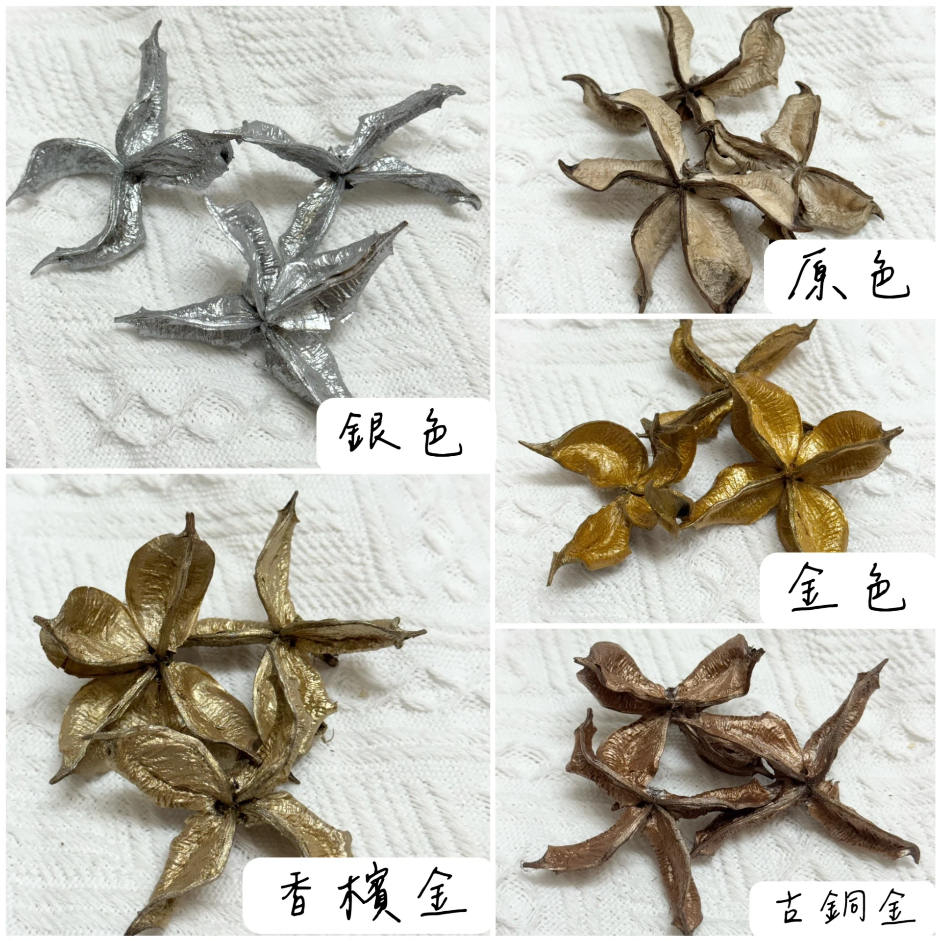 獨家訂製色系棉花殼