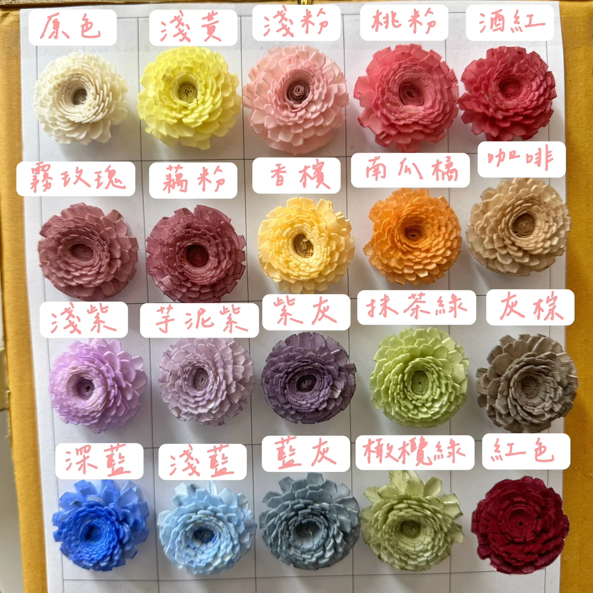 3公分泰國索拉-迷你粉芯千層