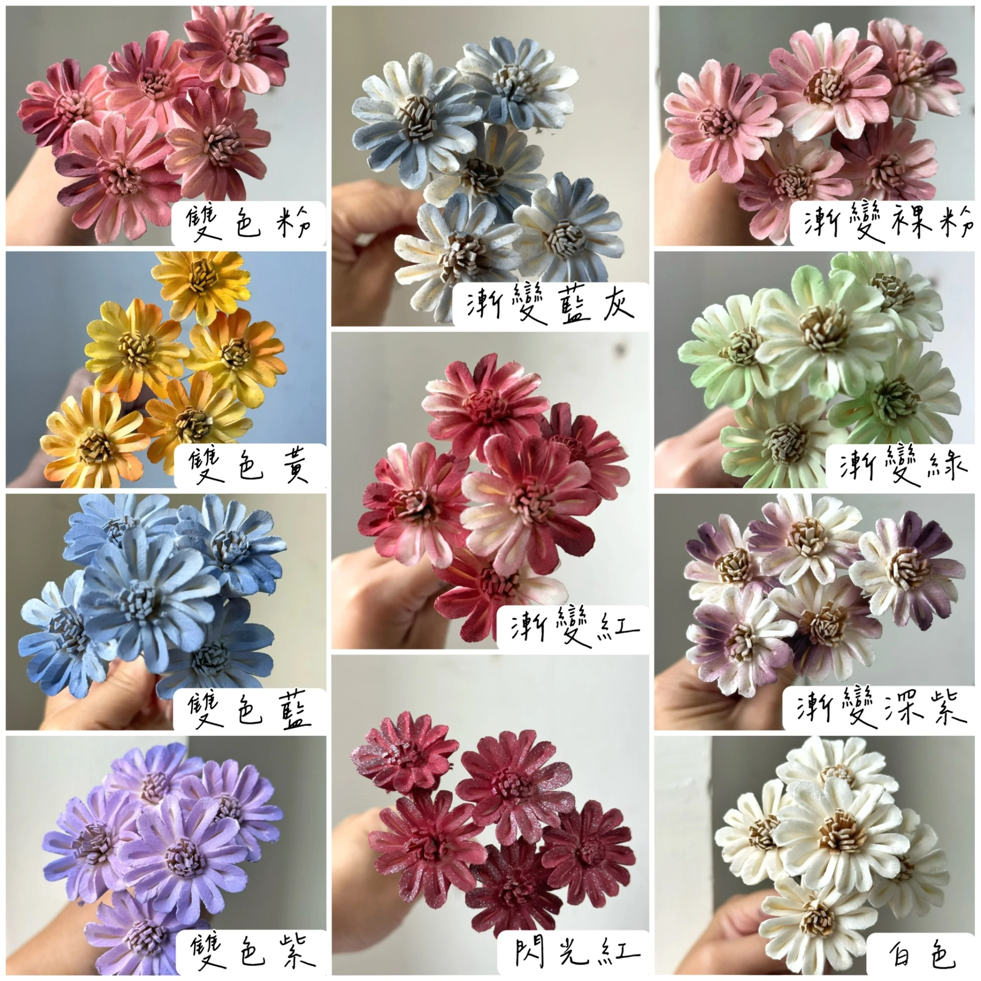 3公分泰國索拉-迷你向日葵