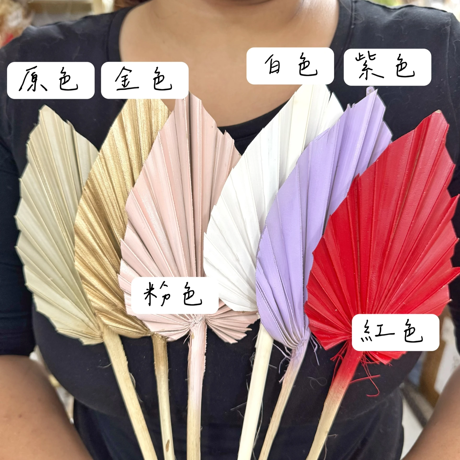 高品質小蒲葵葉(單支售)