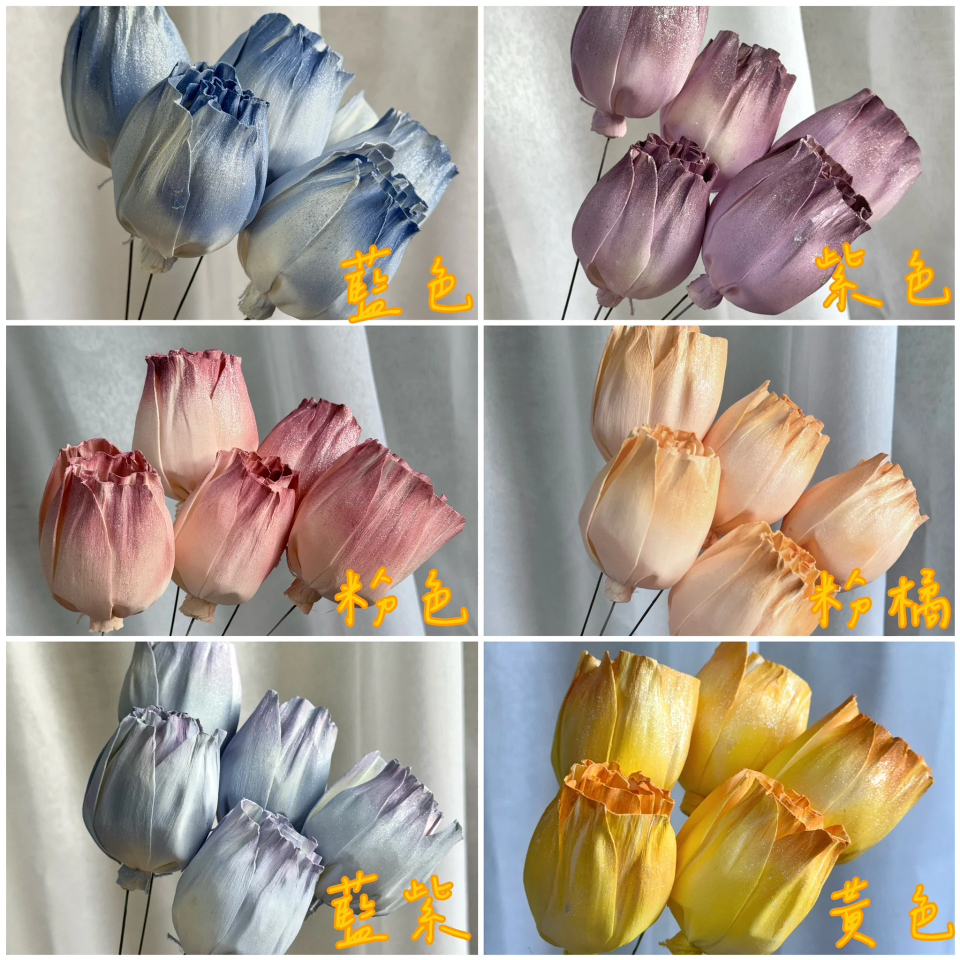 5公分泰國索拉-胖胖鬱金香