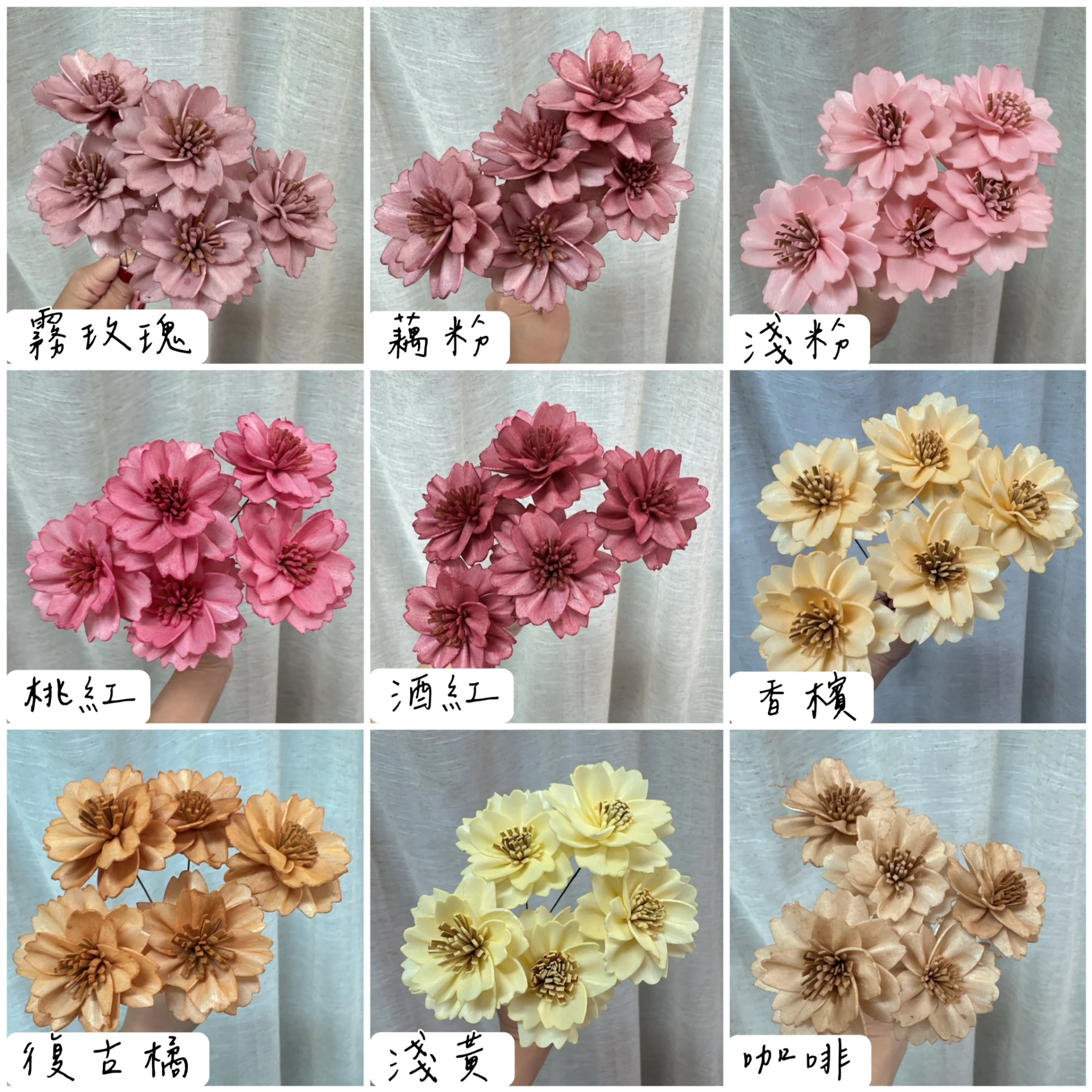 泰國索拉-5CM重瓣櫻花