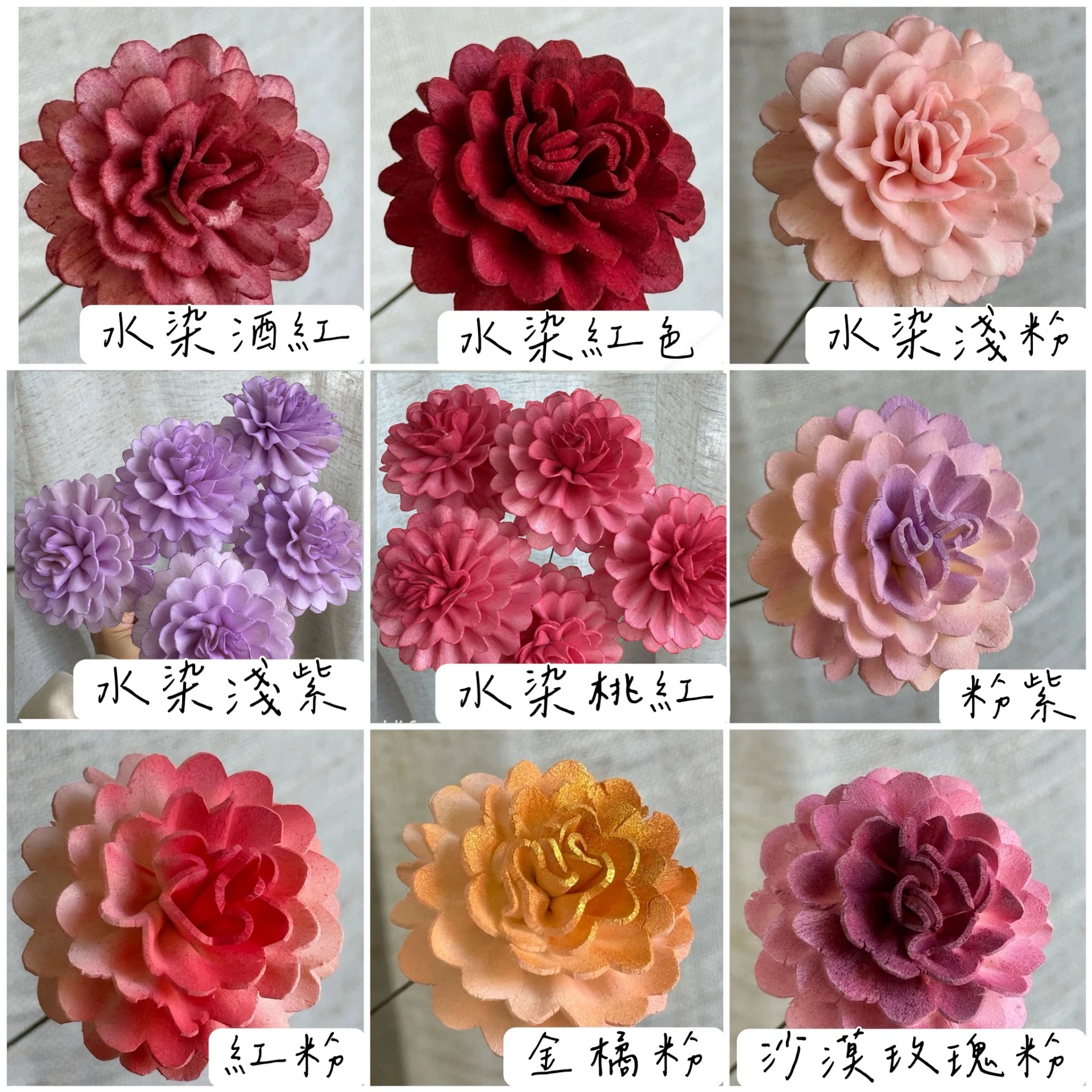 4/6CM泰國索拉 圓邊康乃馨