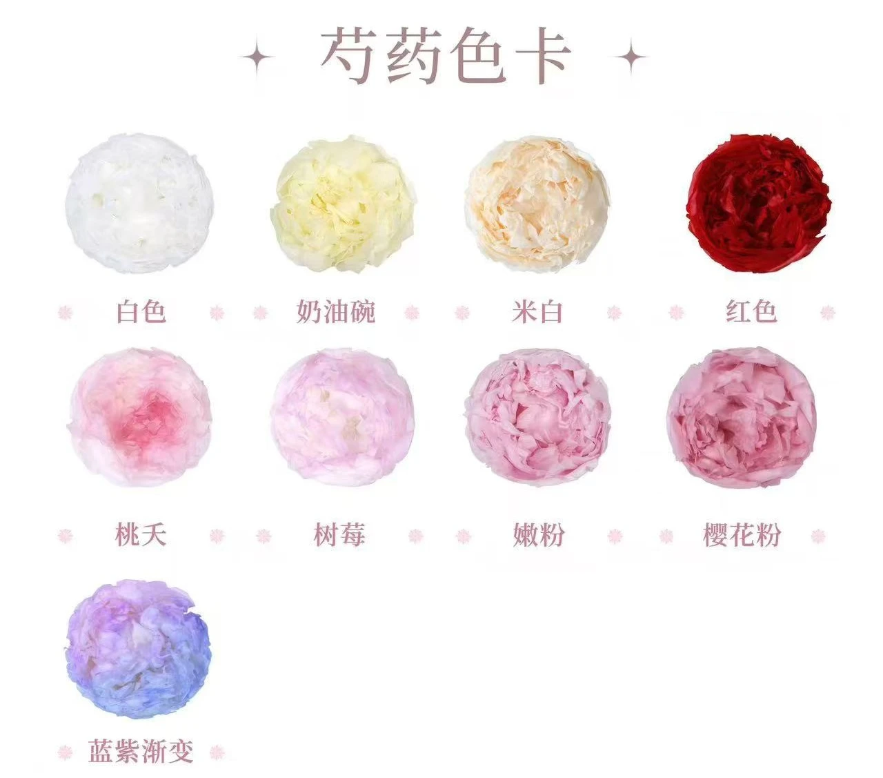 8公分永生芍藥3朵裝