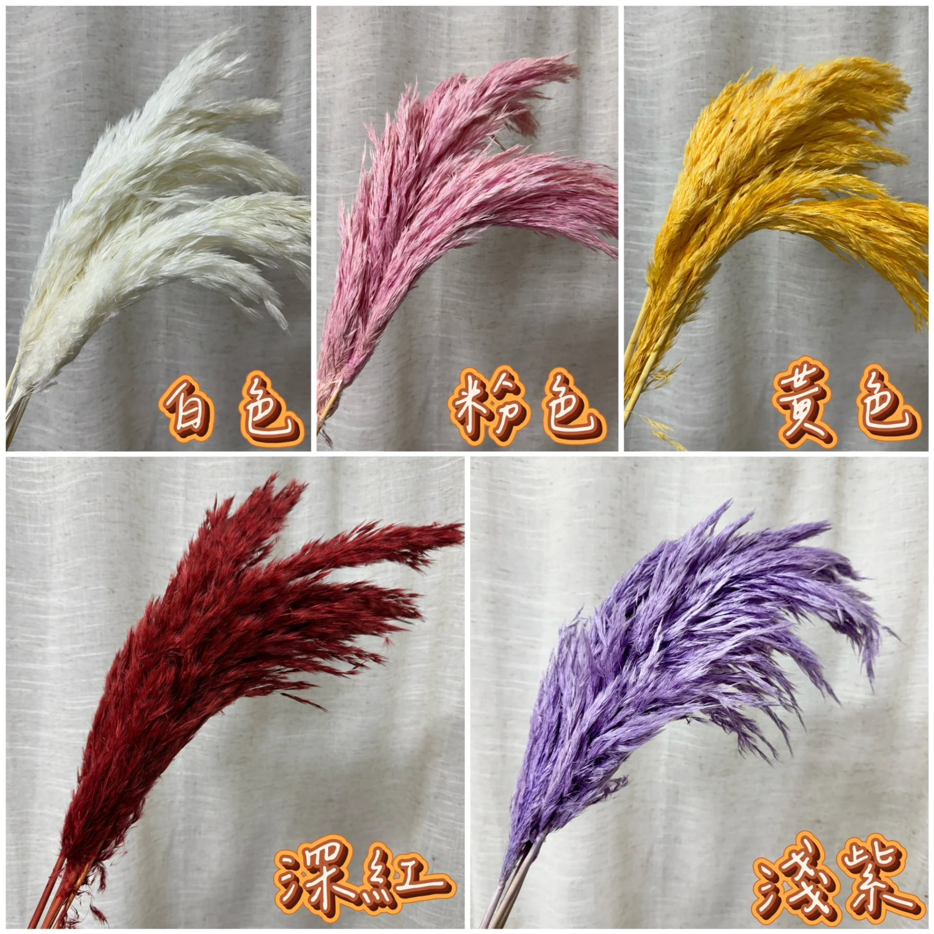 永生小蘆柴