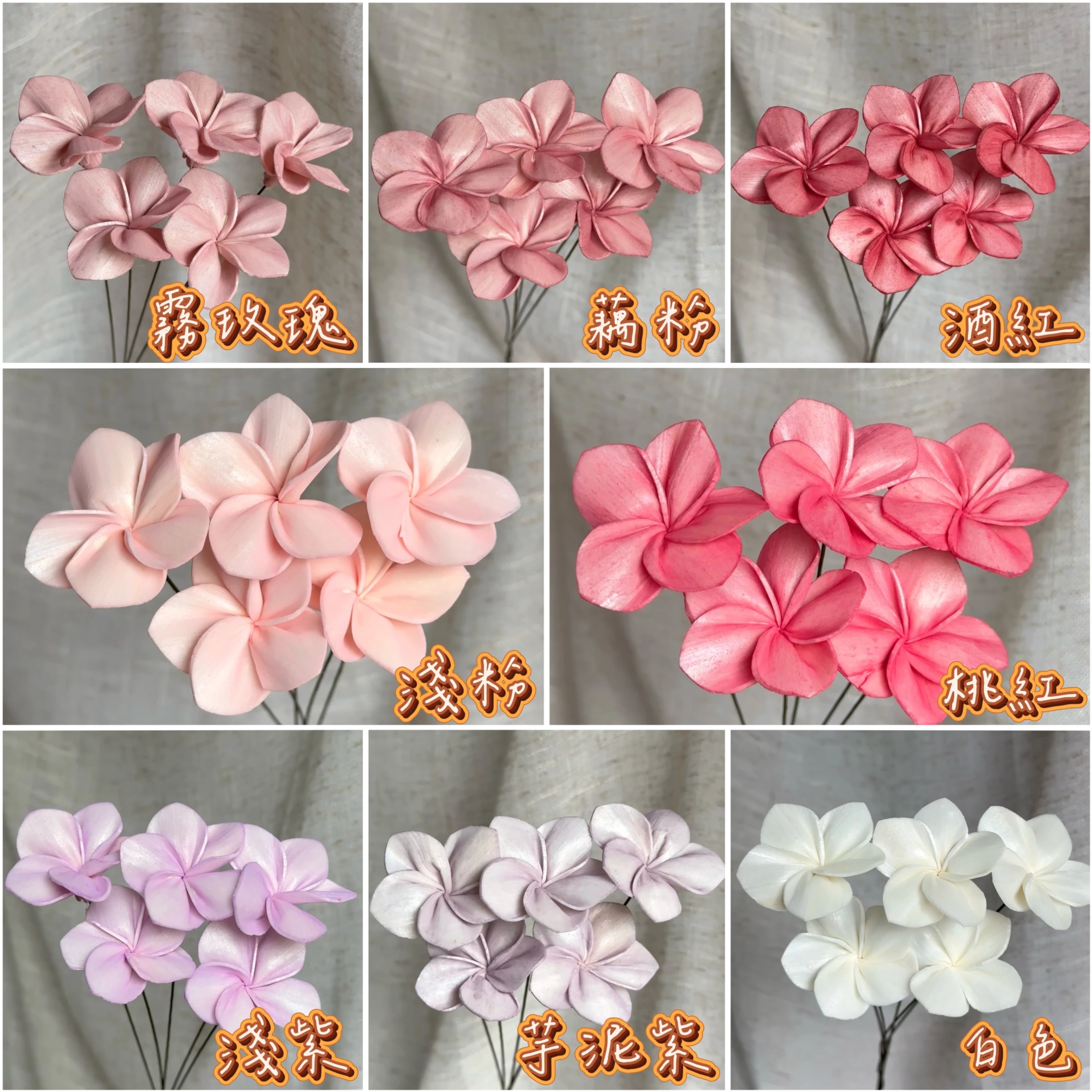泰國索拉-4公分/6公分雞蛋花