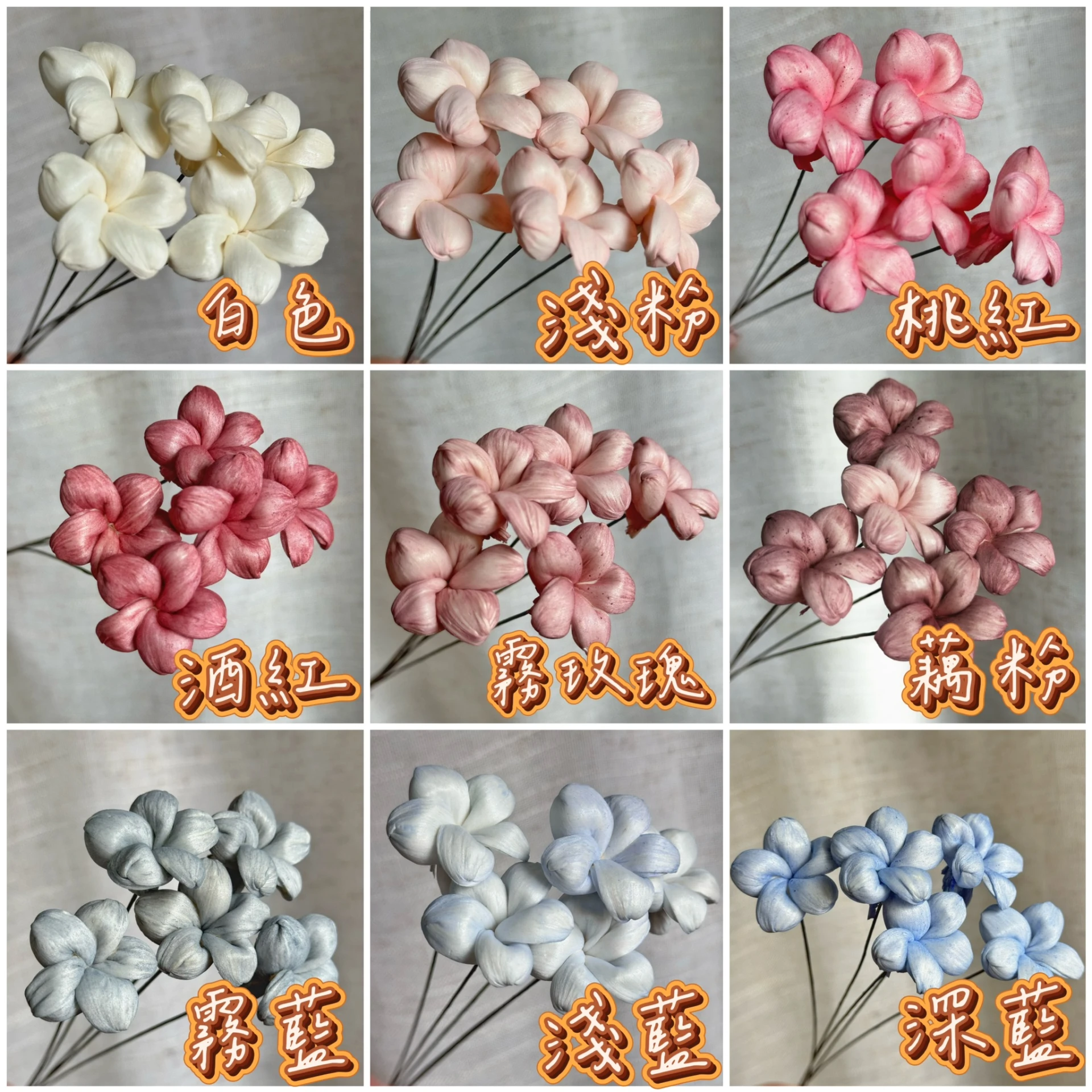 3公分泰國索拉-胖胖小茉莉