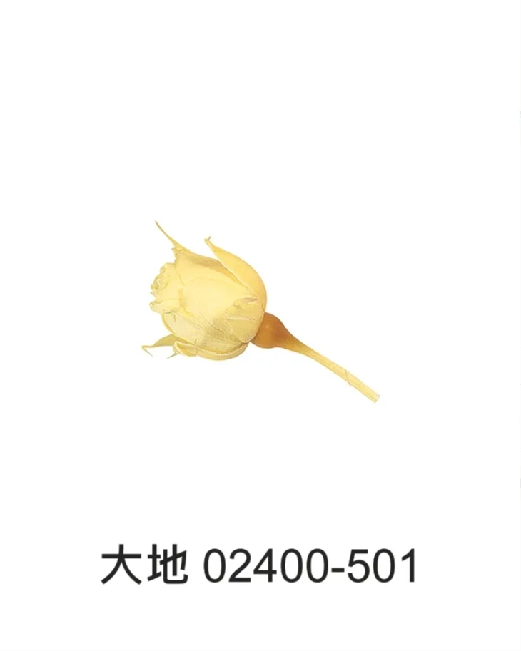 大地 迷你玫瑰(小花苞) 20朵 02400