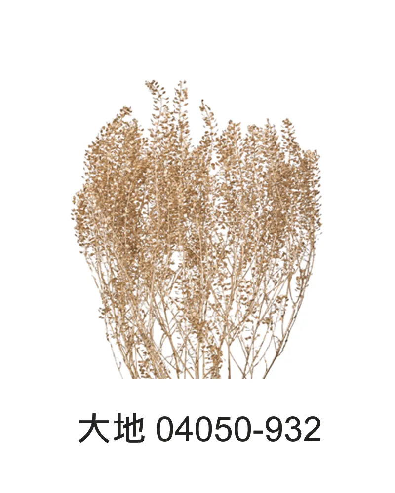 大地農園 珍珠草 04050