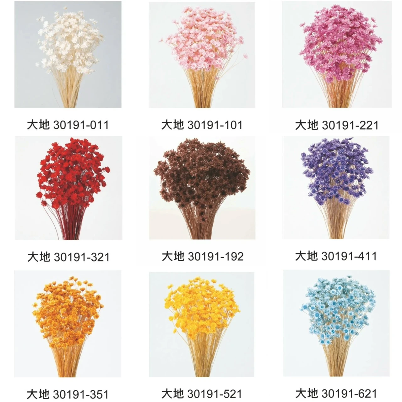 大地農園 小星花 30191/30194/30195/30198