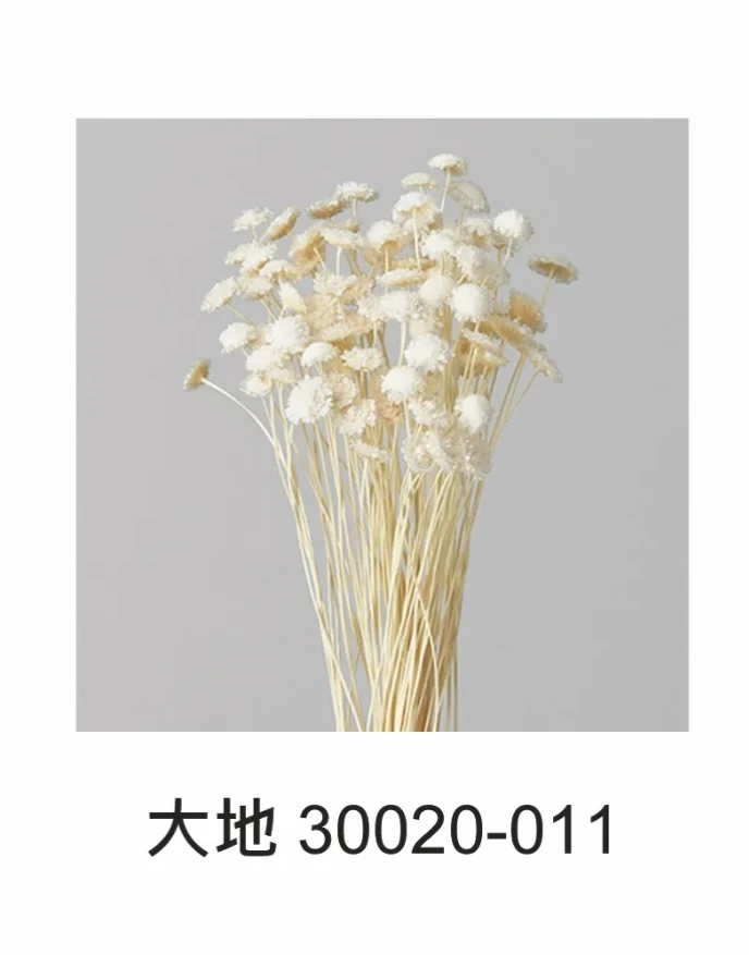 大地 瑪格莉特 30020