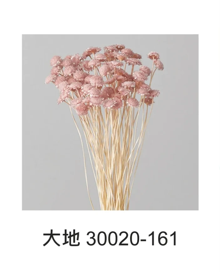 大地 瑪格莉特 30020