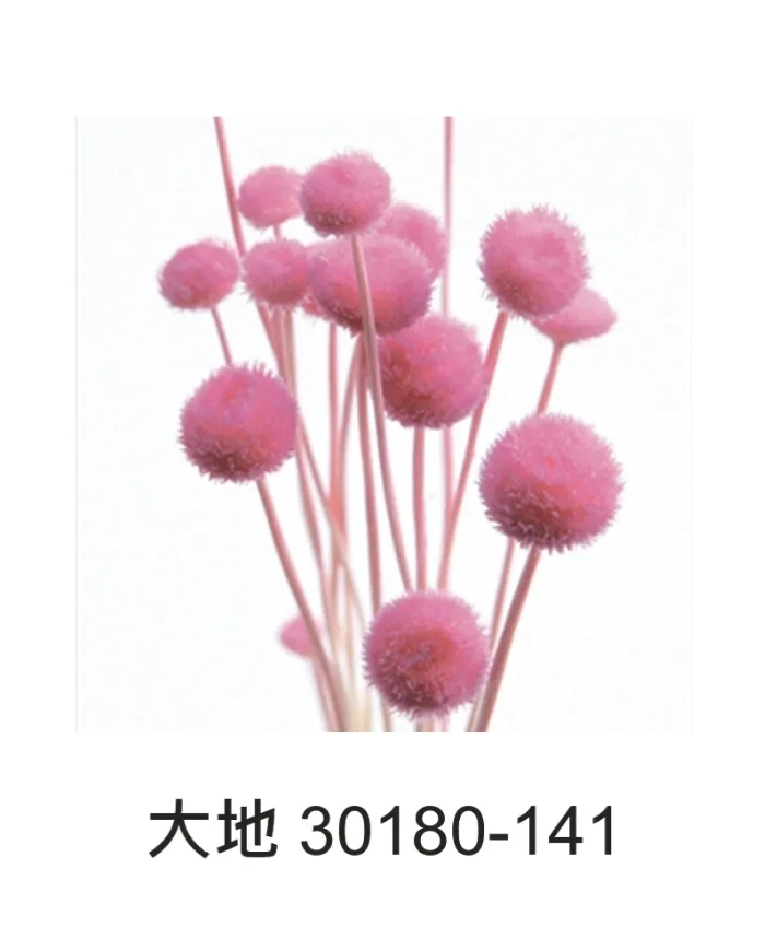 大地 穀精草 30180