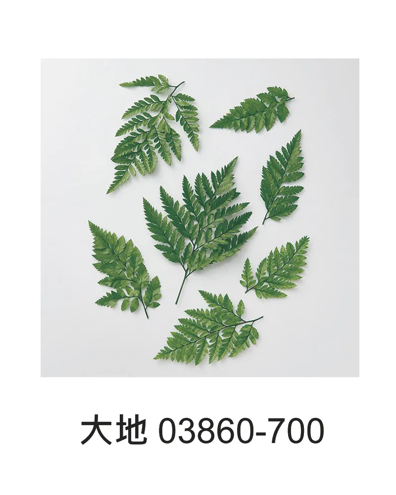 大地 高山羊齒 小 綠 10片裝 03860