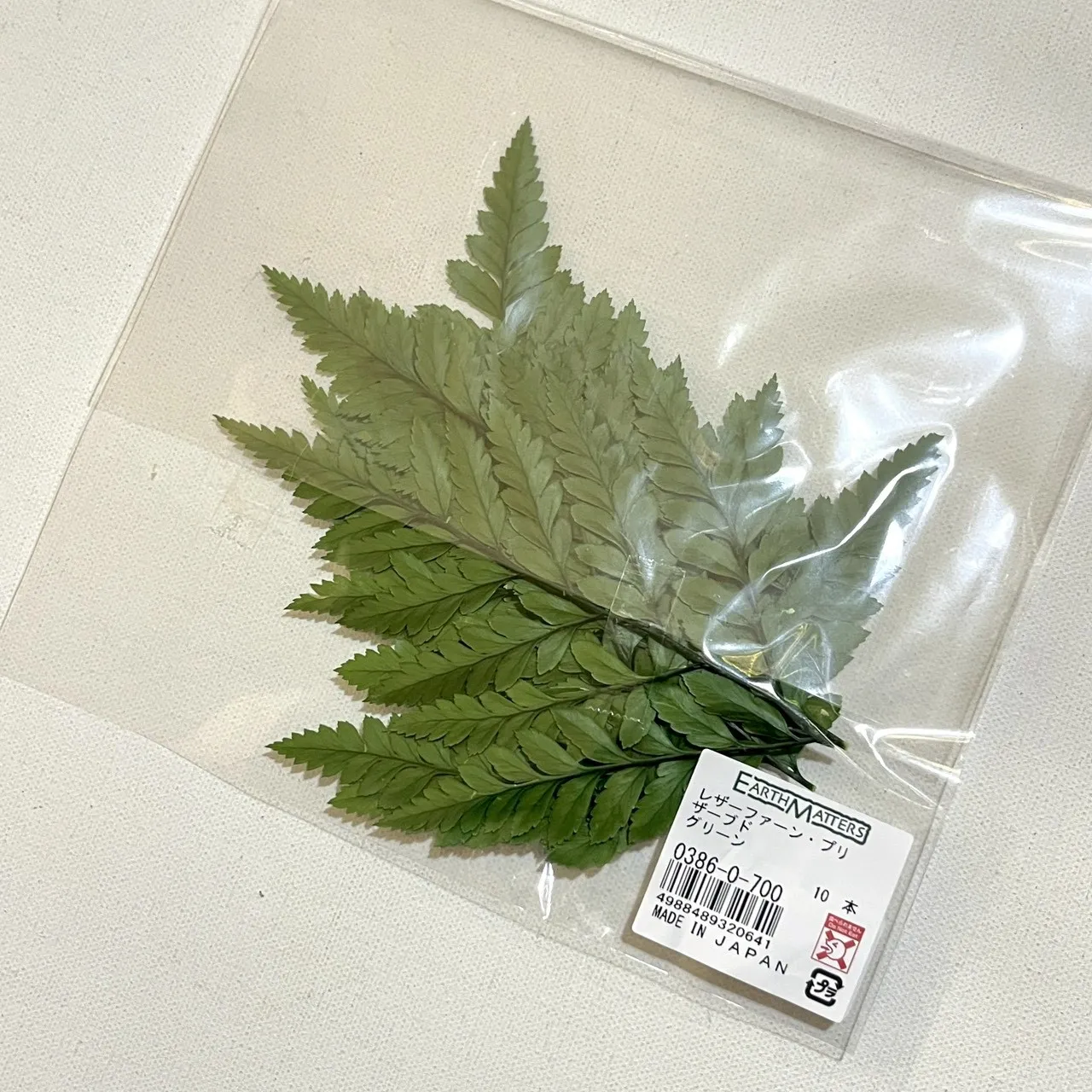 大地 高山羊齒 小 綠 10片裝 03860
