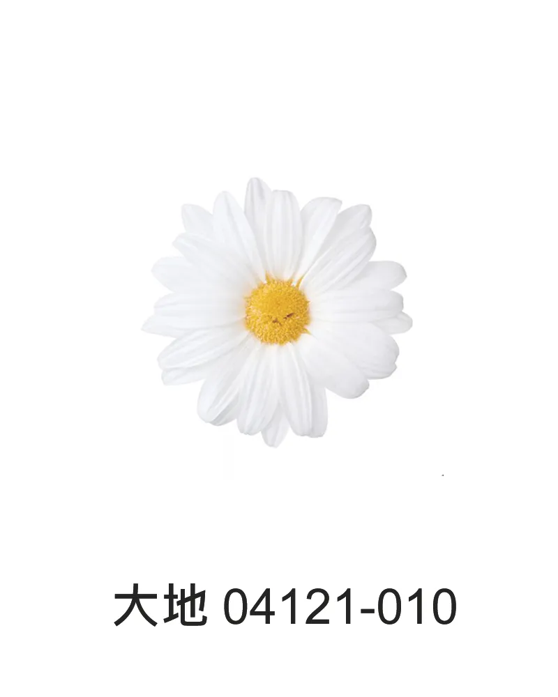 大地 瑪格麗特 9朵 04121
