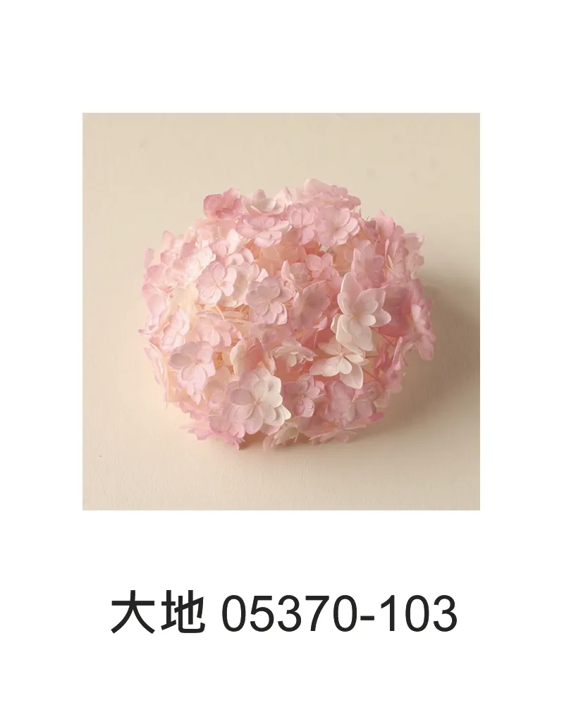大地團花繡球 重瓣繡球 漸層 05370