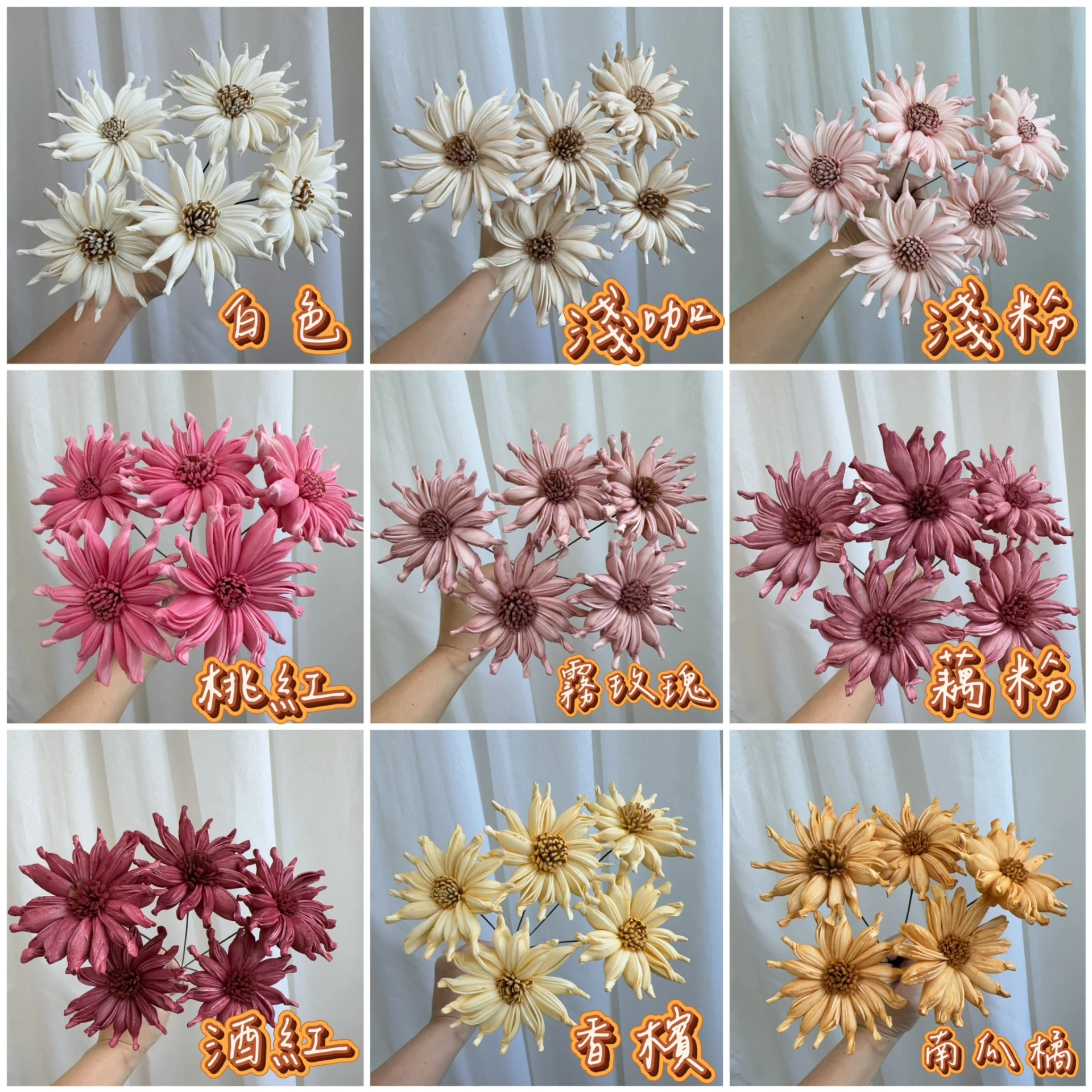 6cm/8cm泰國索拉 瑪格麗特