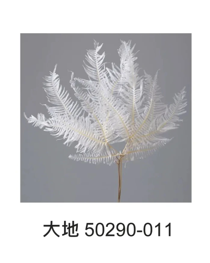 大地農園 芒萁 50290/50296