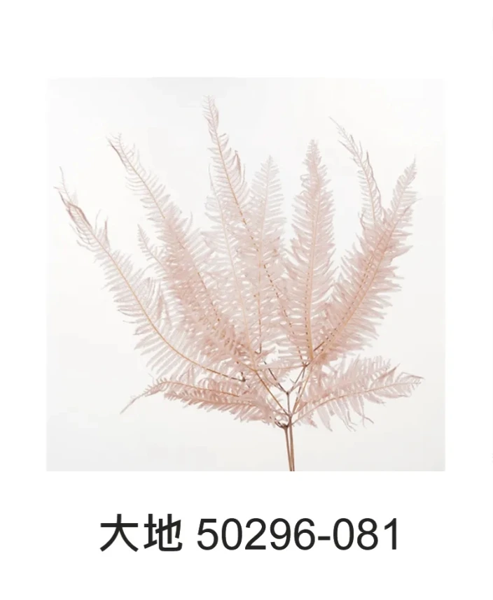大地農園 芒萁 50290/50296