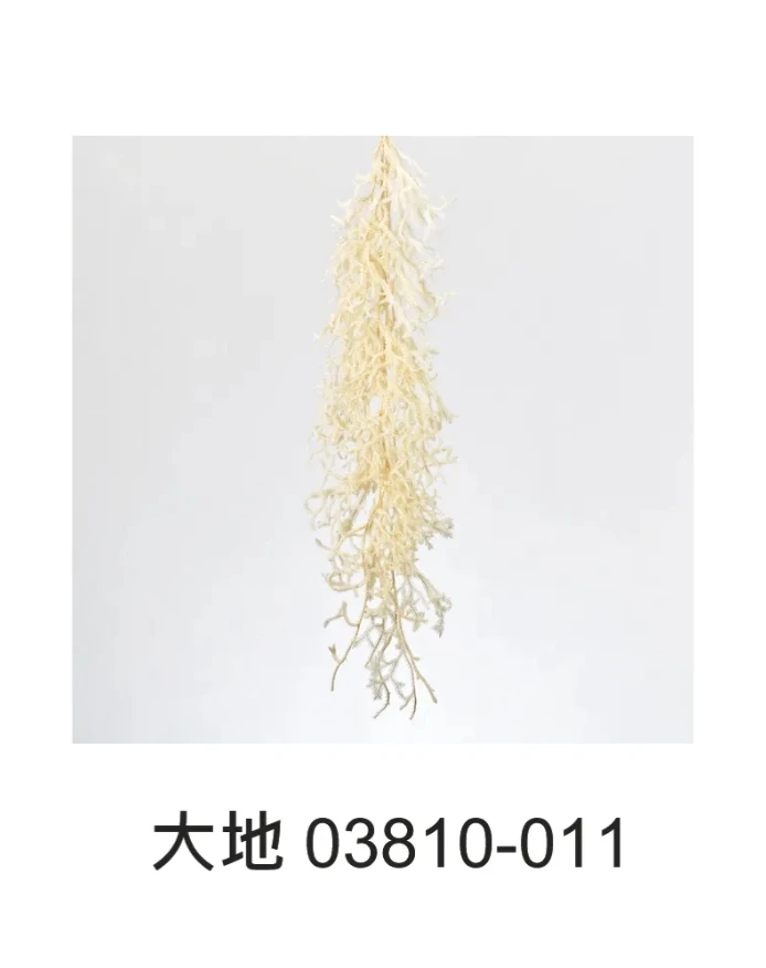 大地農園 鹿角草(垂穗石松) 03810