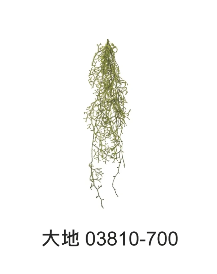 大地農園 鹿角草(垂穗石松) 03810