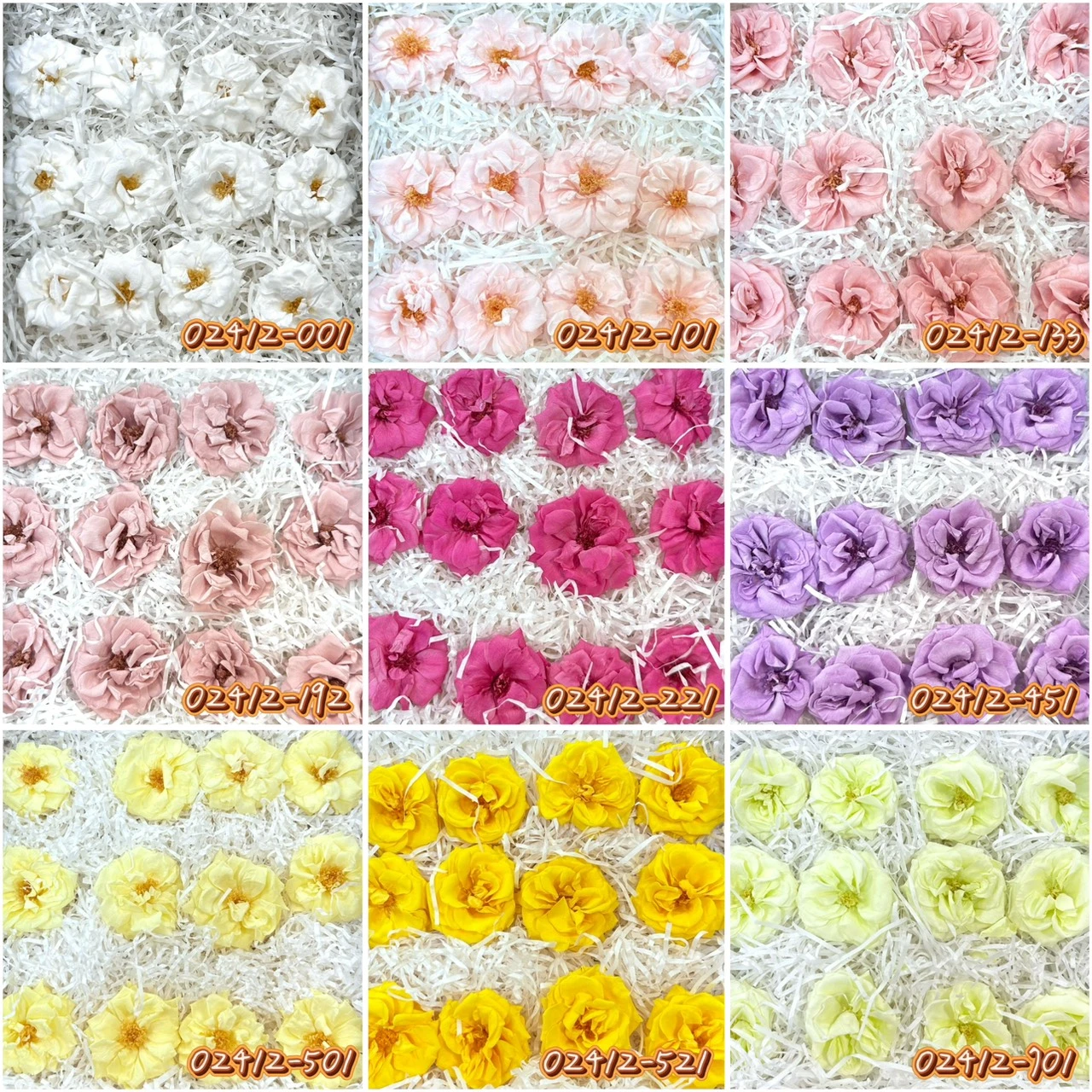 大地農園中薔薇 盛開薔薇012朵02412