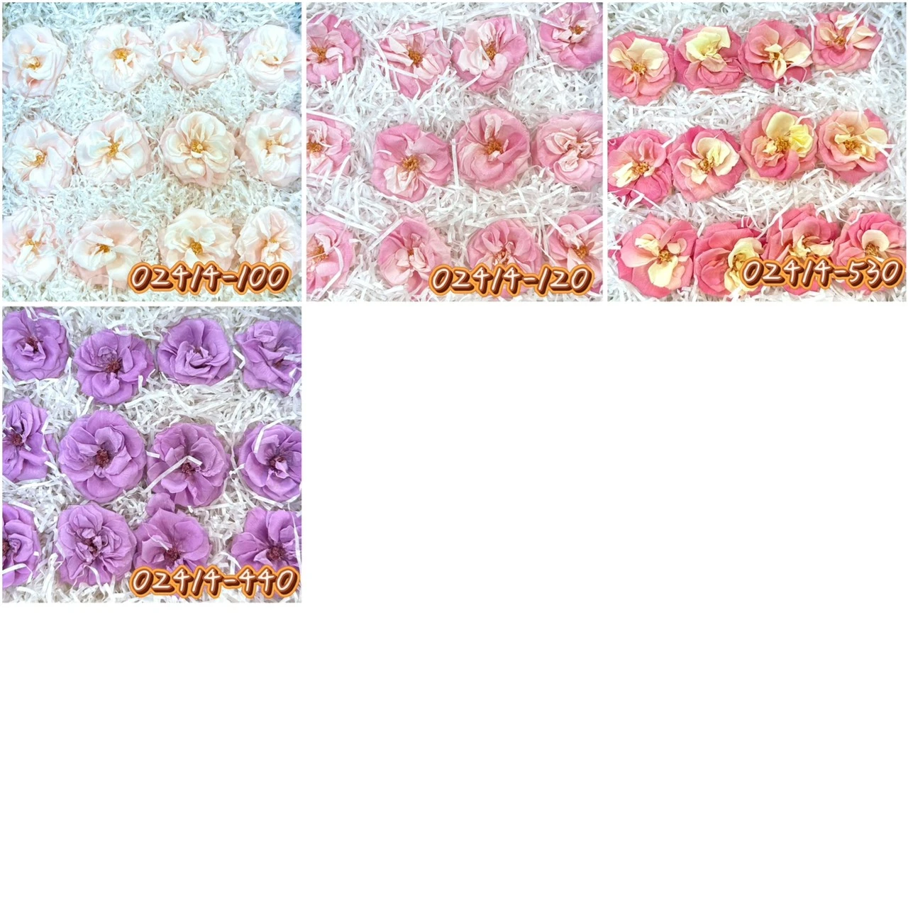 大地農園中薔薇 盛開漸層薔薇012朵02414