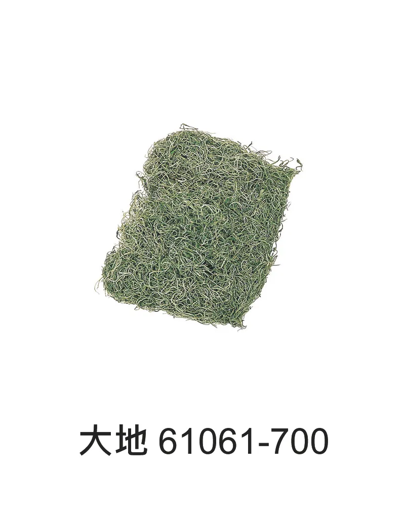 大地西班牙水草 永生松蘿 61061
