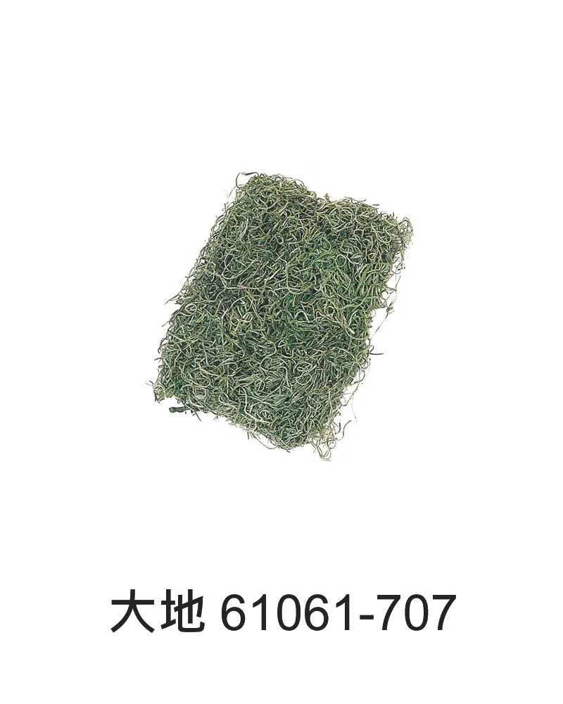 大地西班牙水草 永生松蘿 61061
