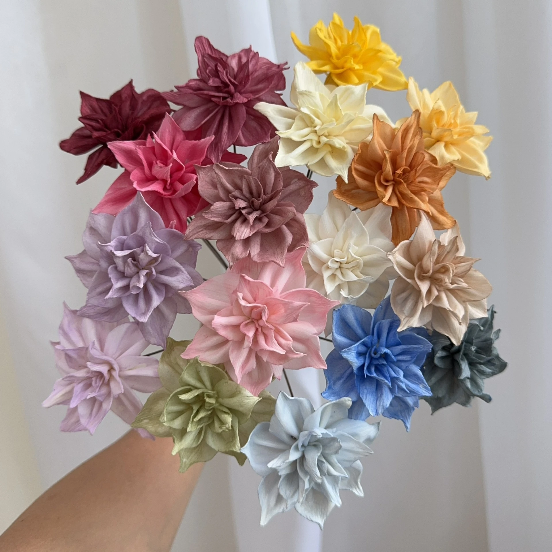 5cm泰國索拉 星芒花