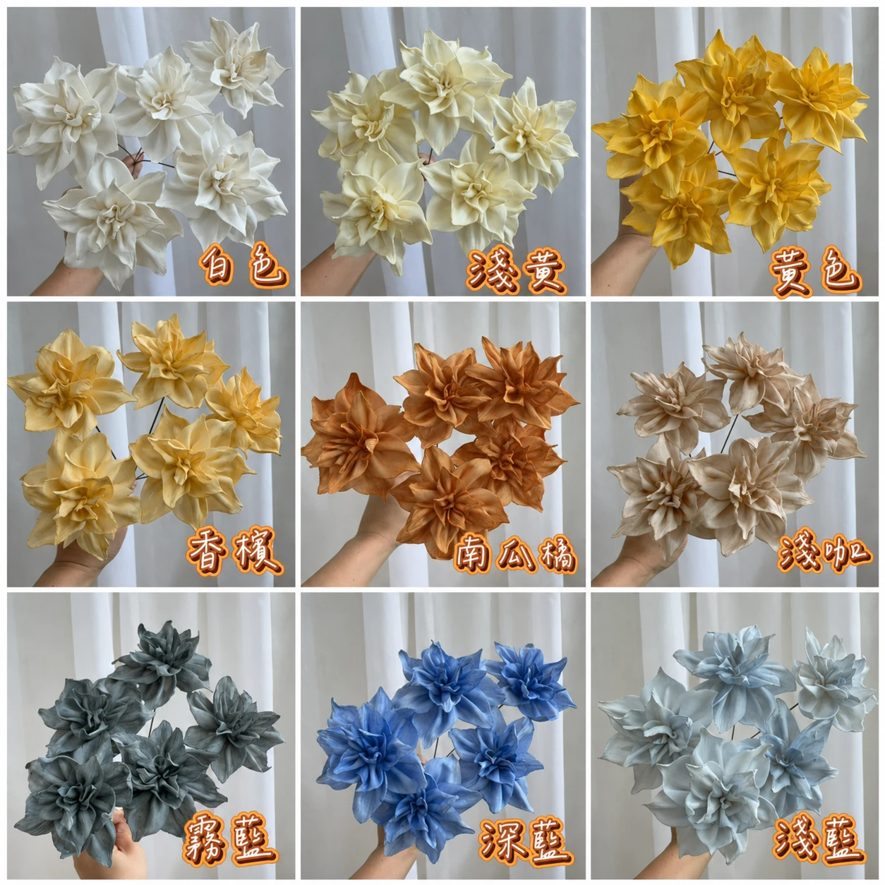 5cm泰國索拉 星芒花