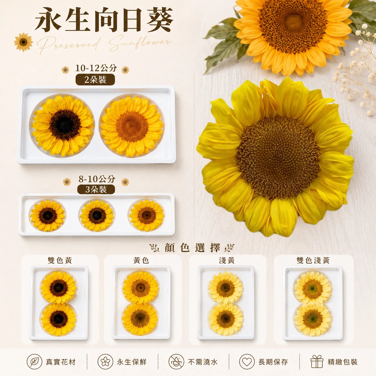 永生向日葵