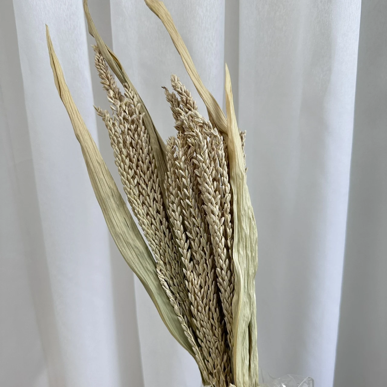 特價出清 玉米花