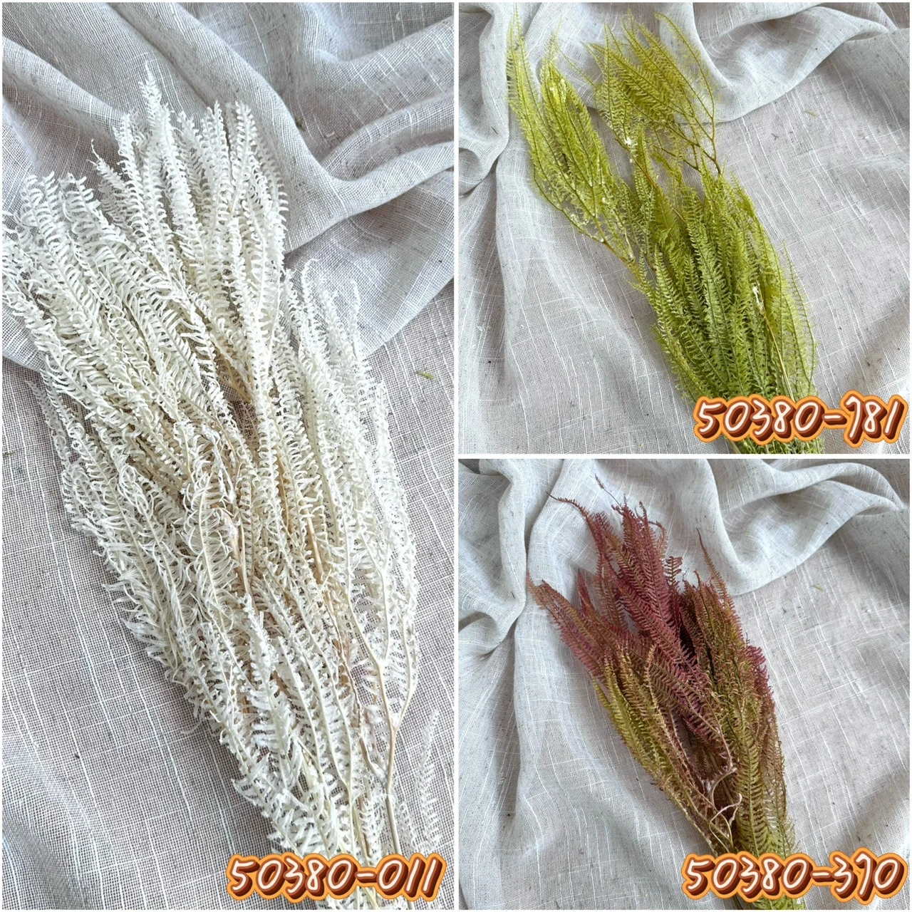 大地農園 歐洲蕾絲蕨 50380