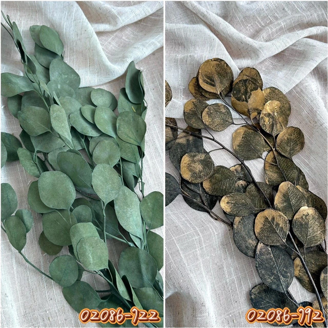 大地農園 圓葉尤加利 02080/02086