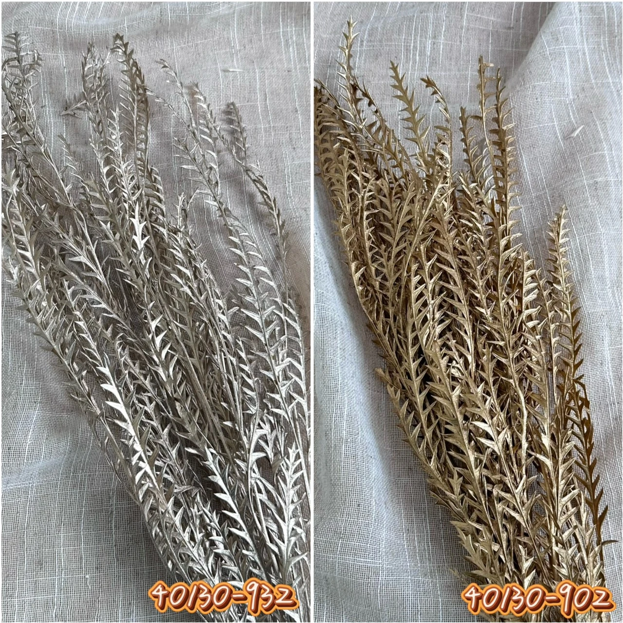 大地農園 乾燥銀樺 40130