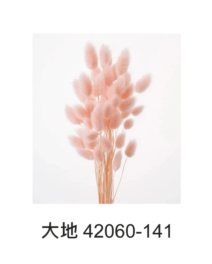大地農園 兔尾草(短)42060