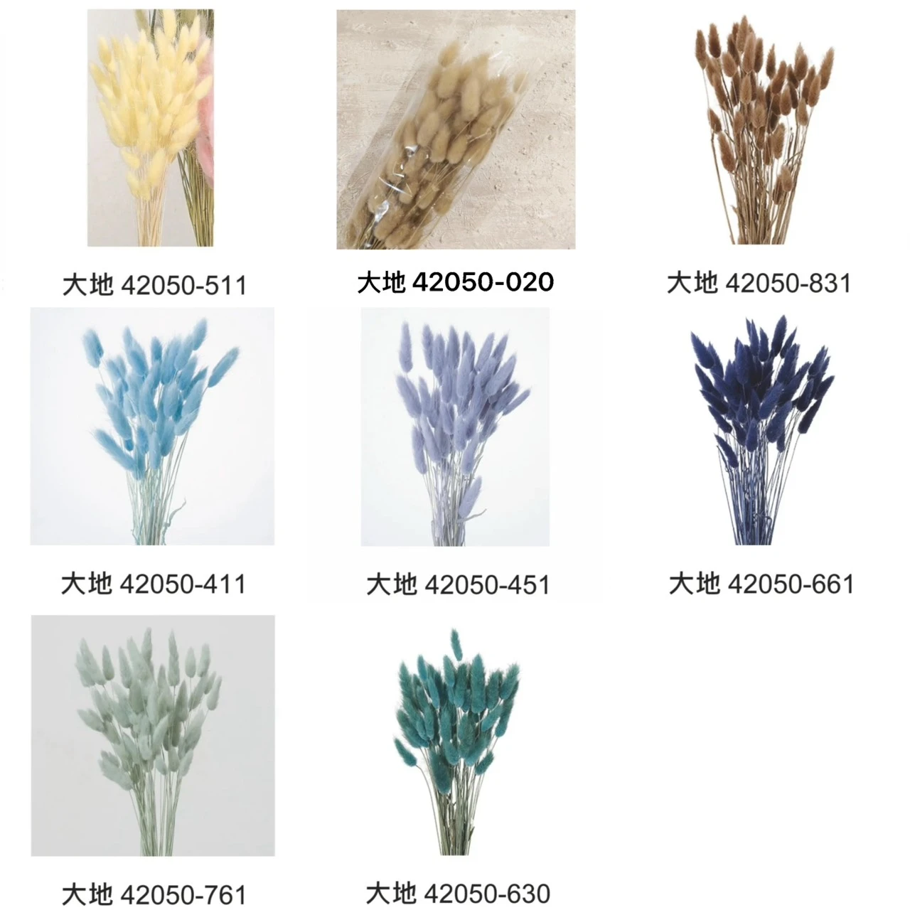 大地農園 兔尾草42050