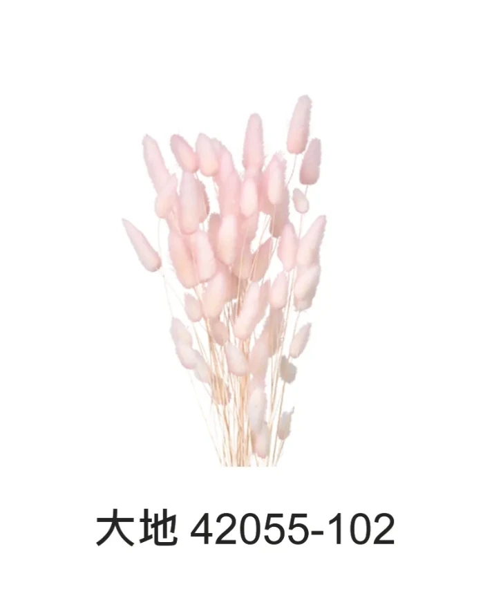 大地農園 兔尾草(雙色)42055