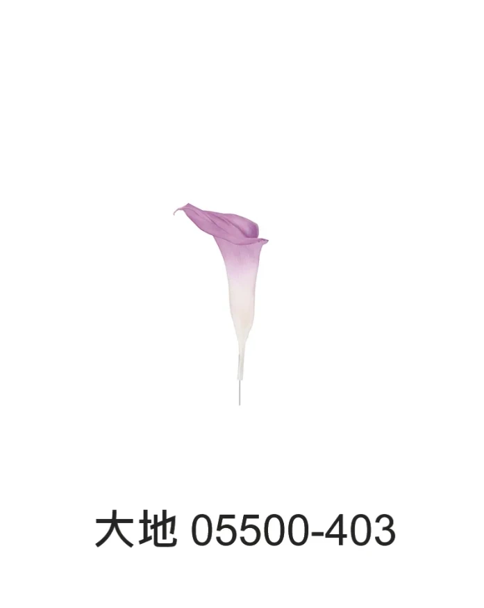 大地農園 海芋 大/小朵  05502/05500
