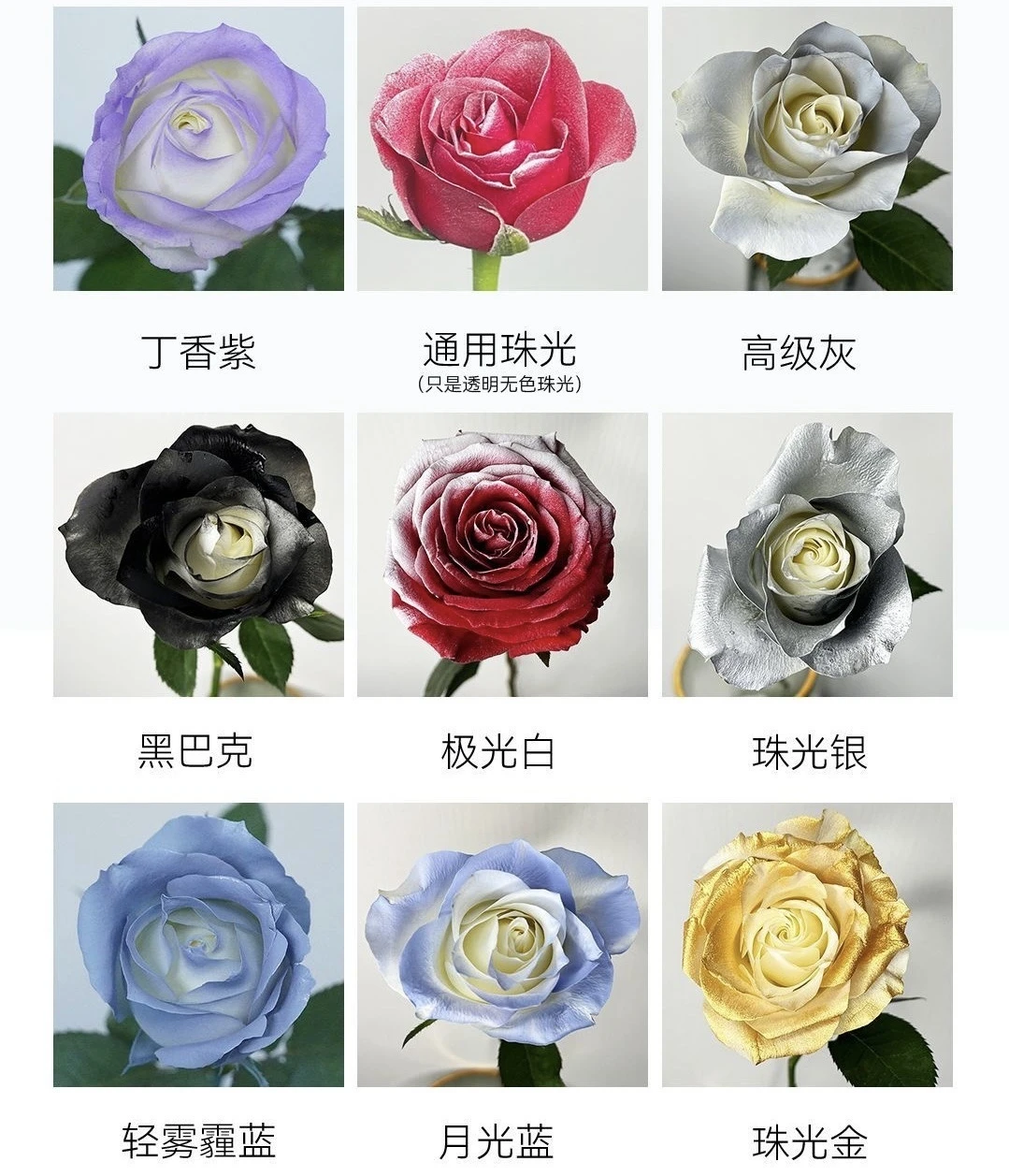 花藝噴漆450ml