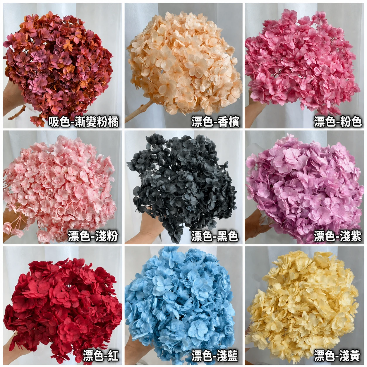 永生重瓣繡球