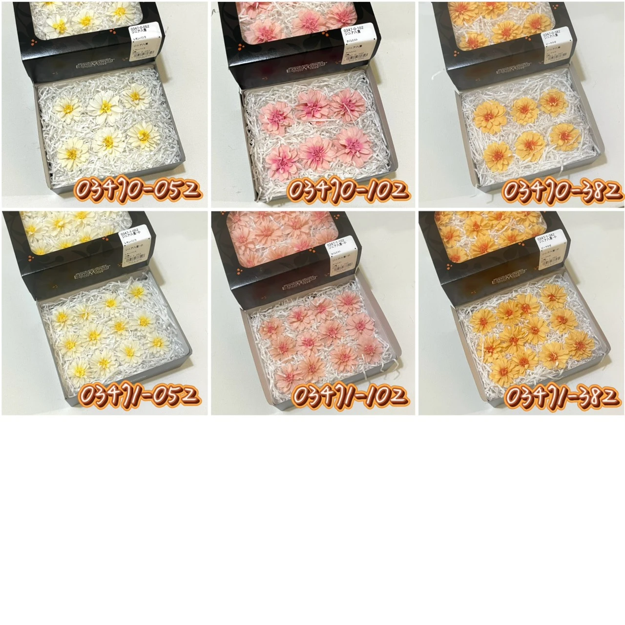 大地 重瓣百日草 03470/03471
