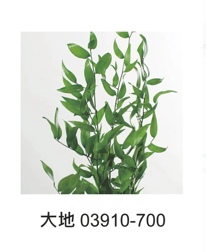 大地 小樺木 淺綠 03910